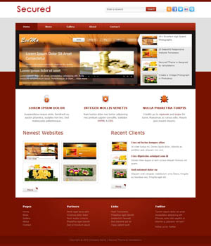 Web漏洞扫描工具